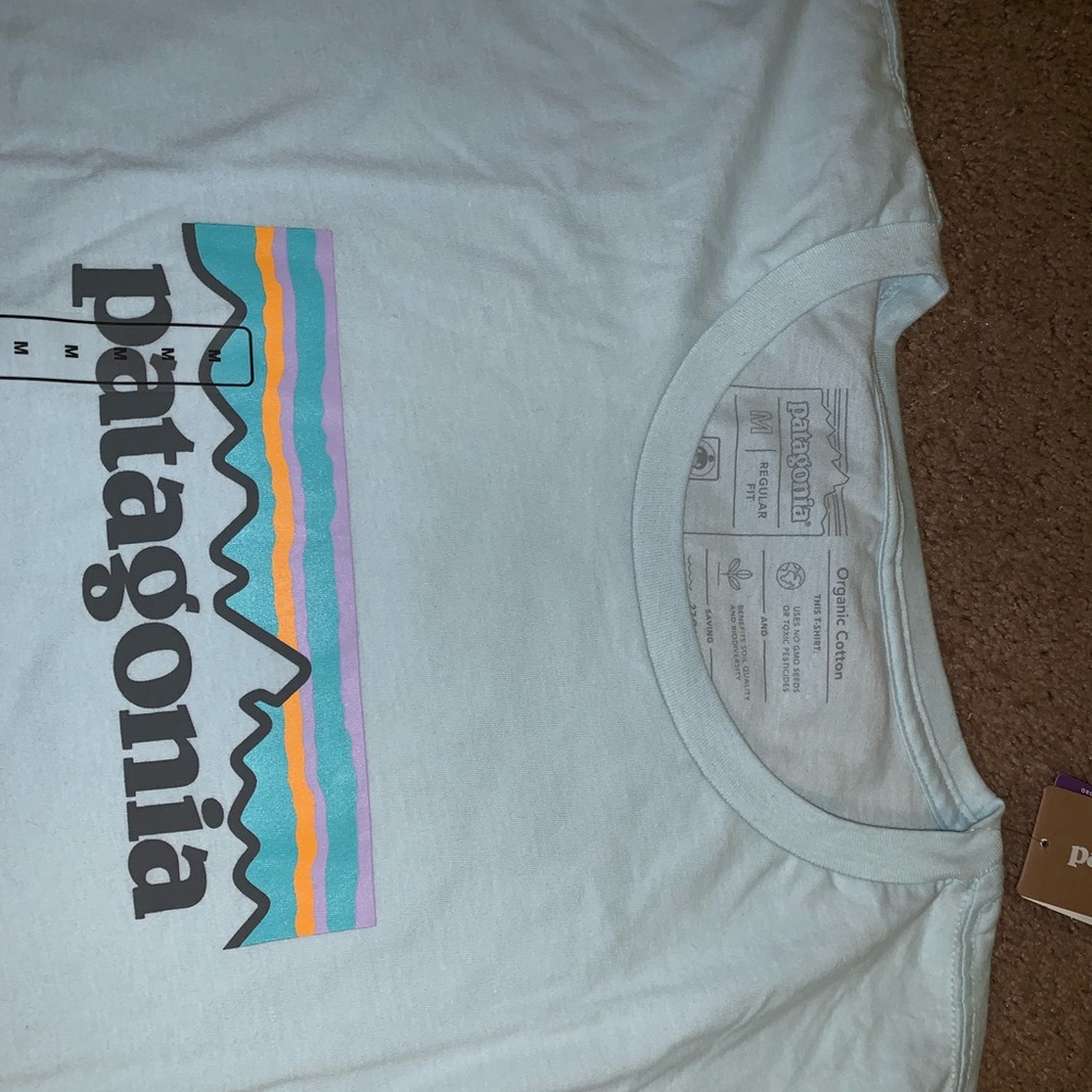 Patagonia T-shirt